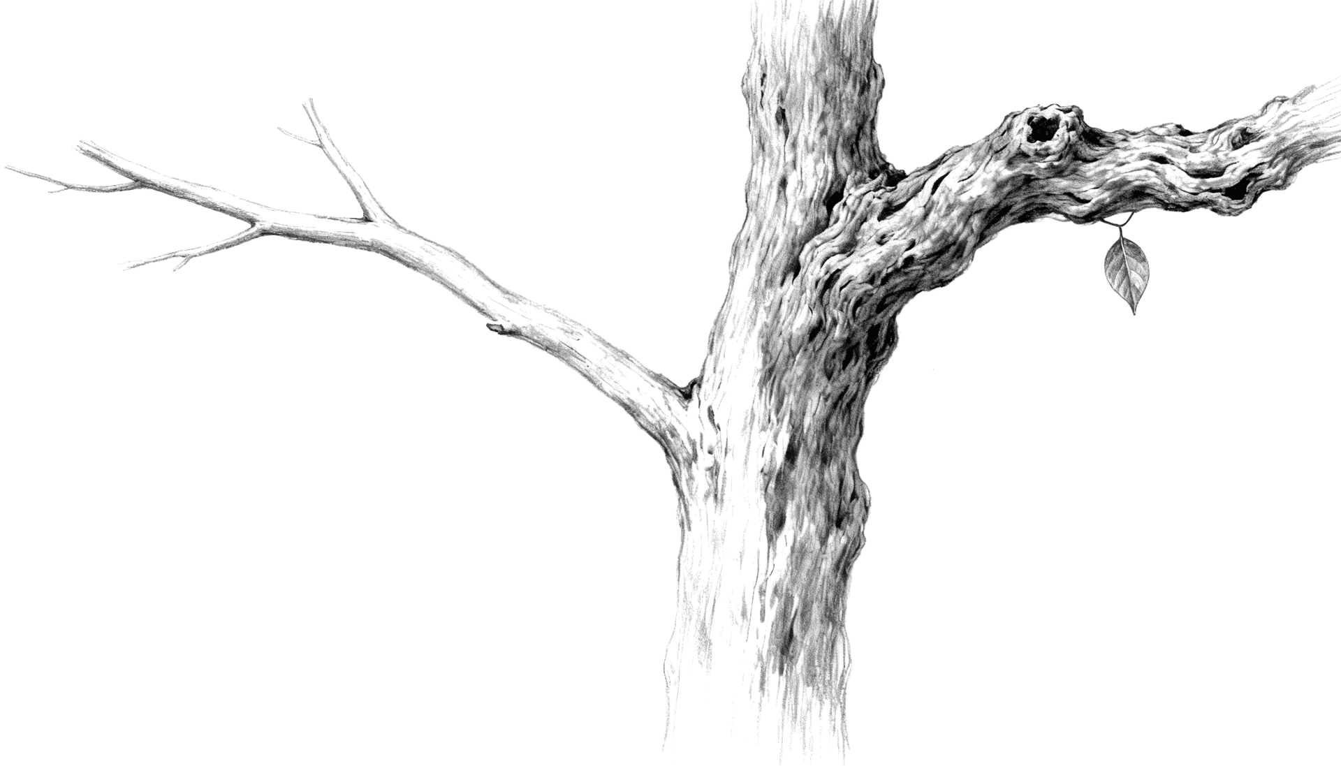 Don’t Envy Those Who Seem to Be “Getting Away With Sin”