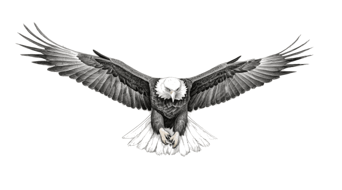 Be the Eagle (Go Higher)