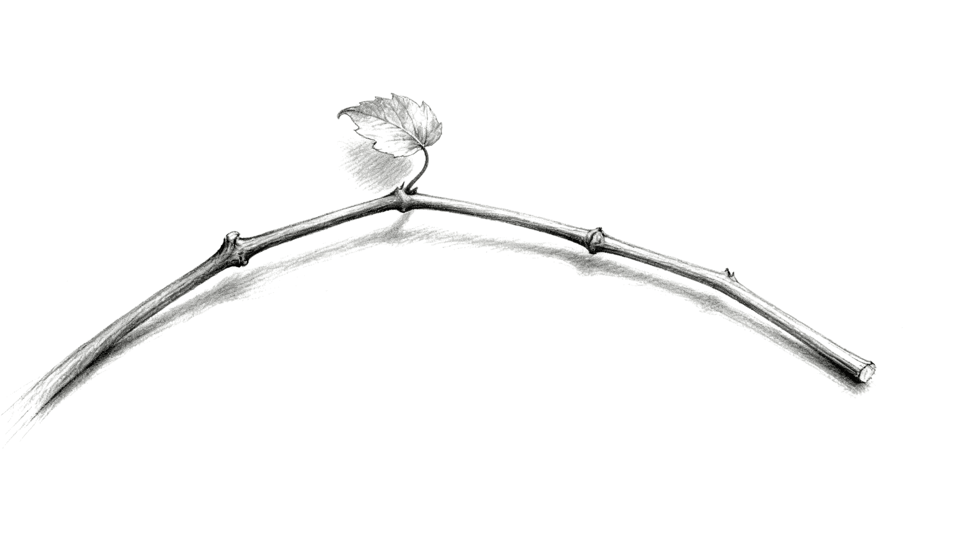 Stop Looking for the Map—Stay Close to the Guide