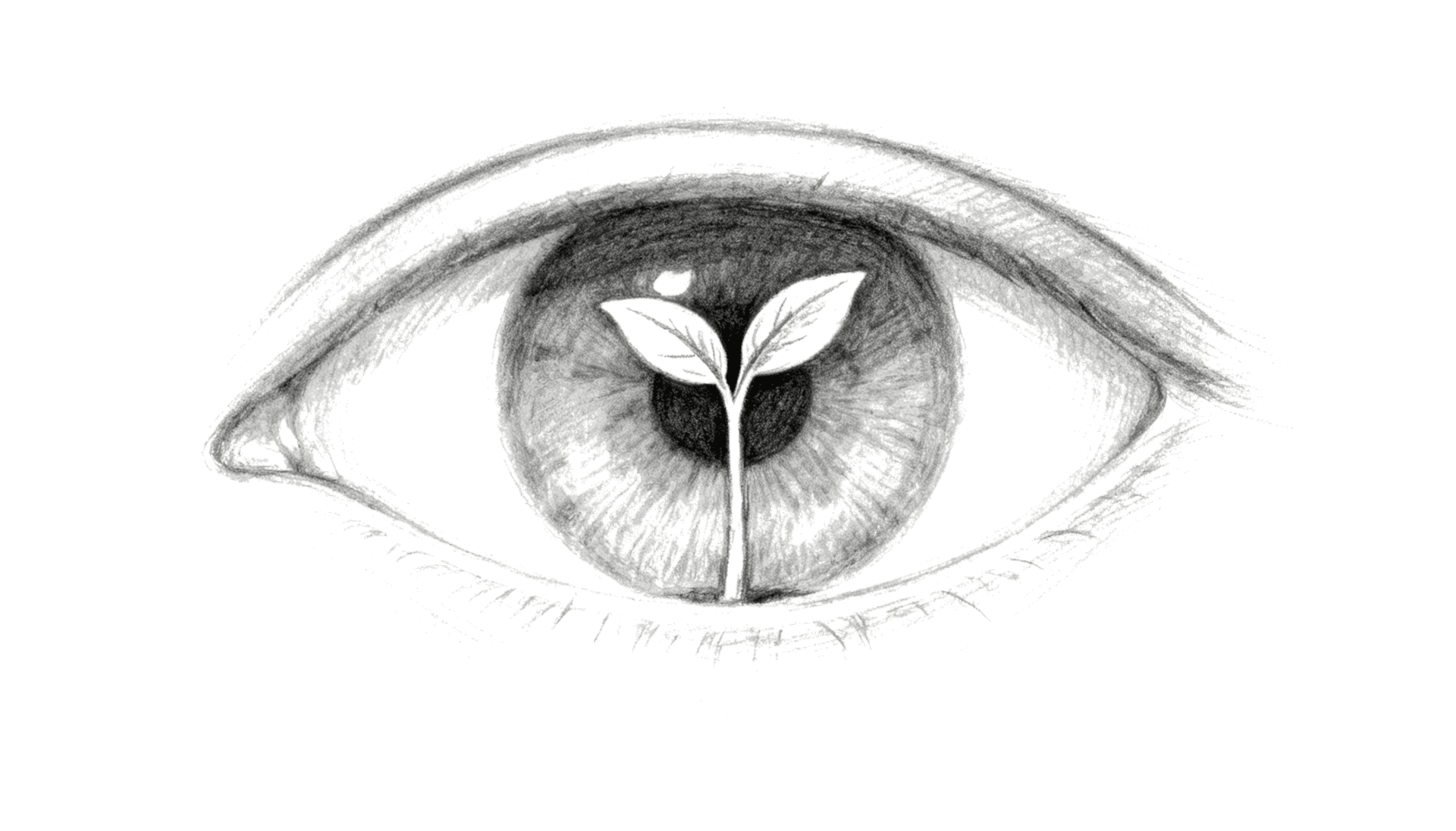 Your Provision Is Hidden Inside Your Vision