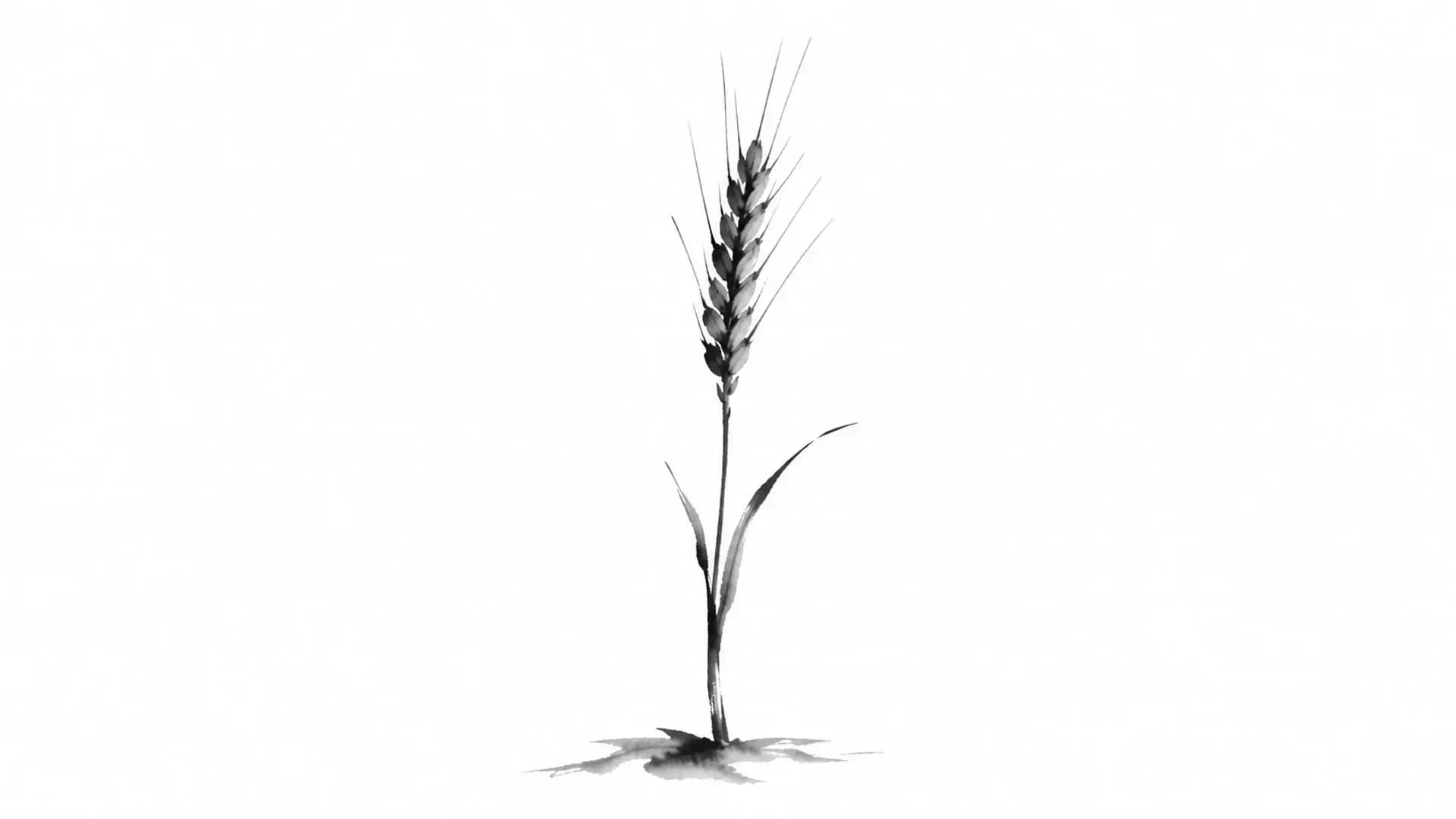 You Are Abraham's Seed