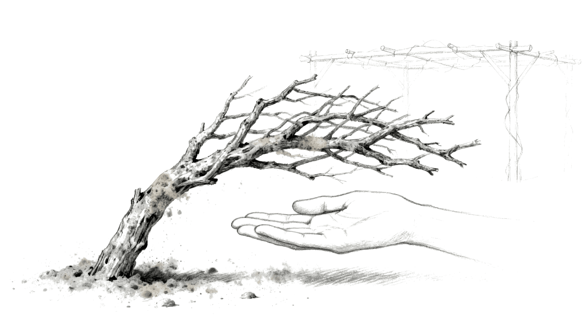 You’re Not Fruitless. You’re Just Covered in Dust.