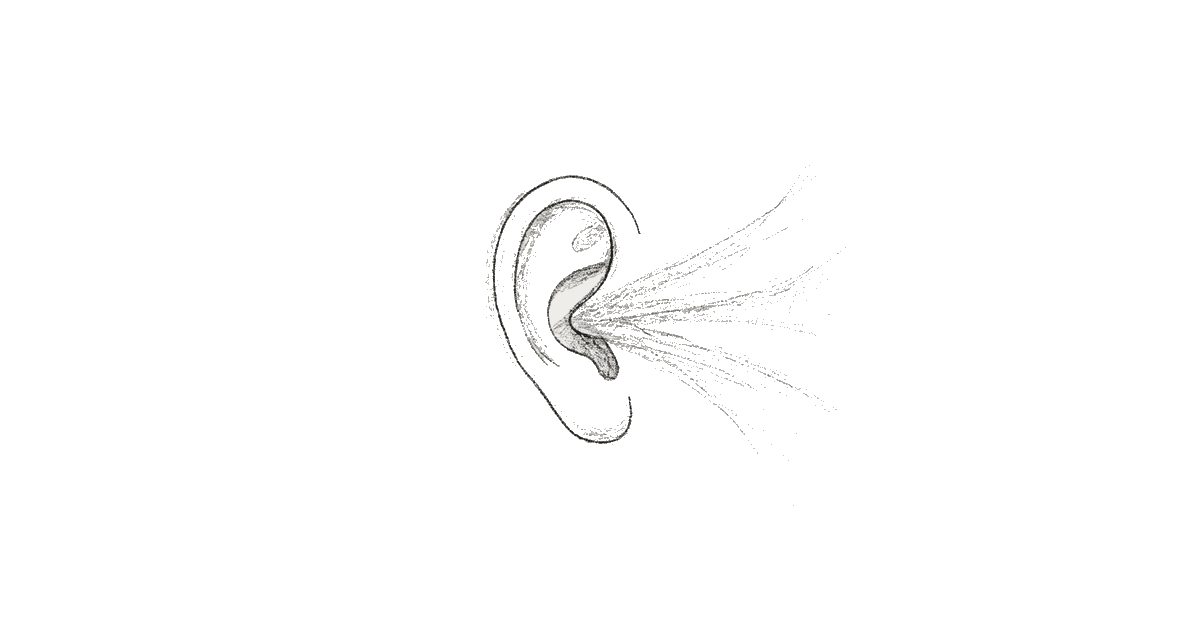 The First Voice You Need to Hear