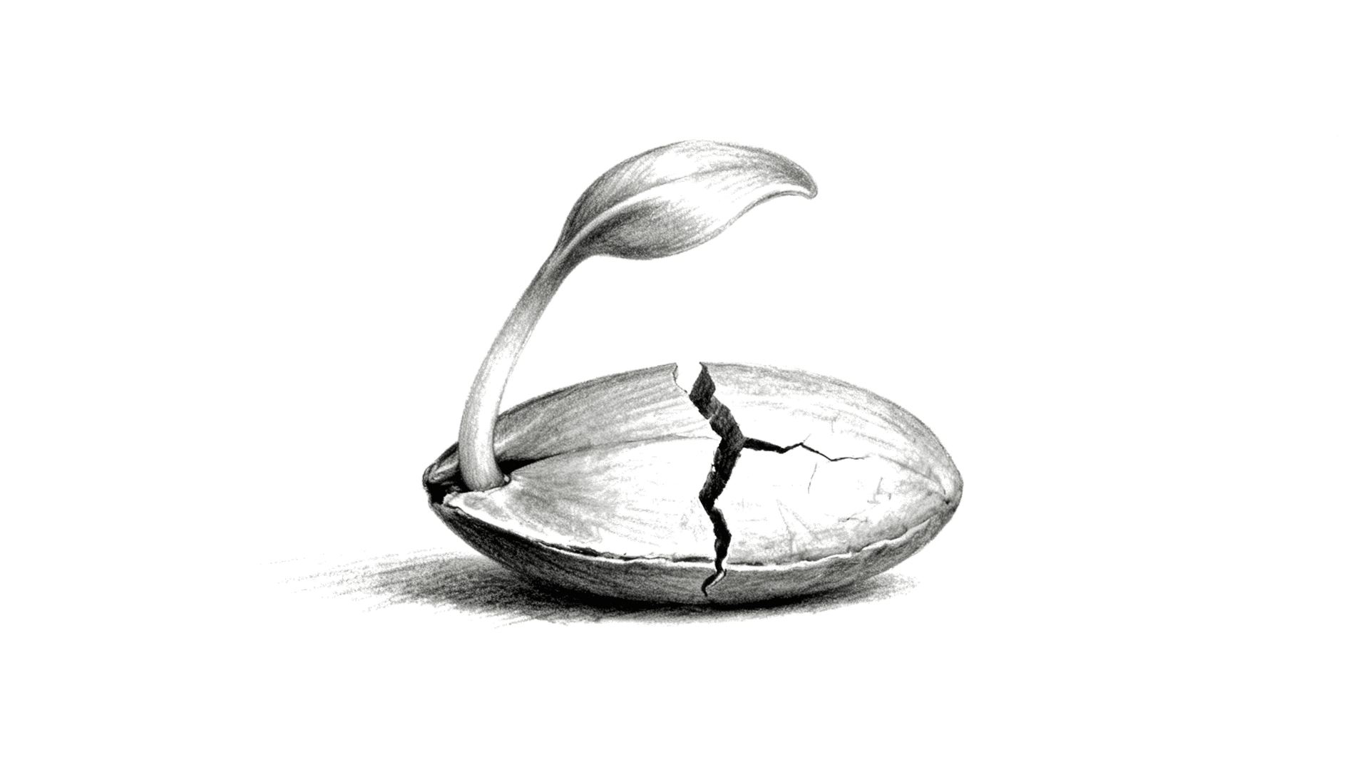 The Way You Think Is the Life You Live