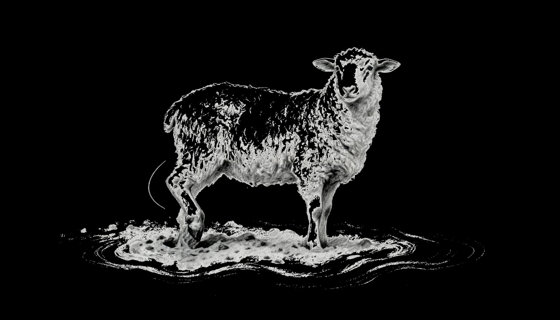 A True Believer Cannot Stay in Sin